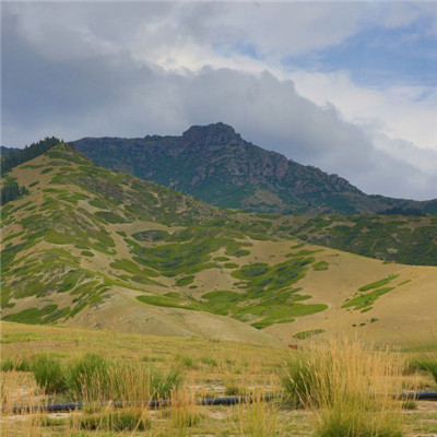 好看的风景头像图片