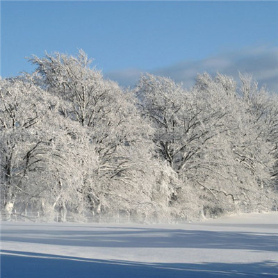 冬天唯美的雪景頭像