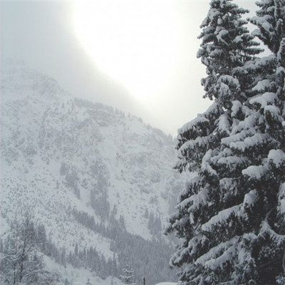 冬天唯美的雪景头像