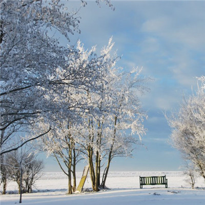 冬天唯美的雪景头像