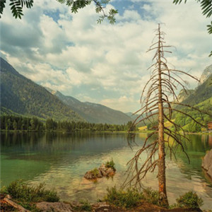 青山綠水自然風景頭像