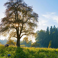 清澈的空气自然山水风景头像图片