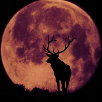 月亮天空风景高清图片头像