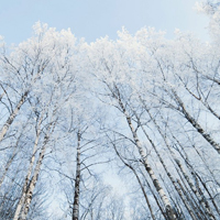 高清雪景清新淡雅风景头像图片大全
