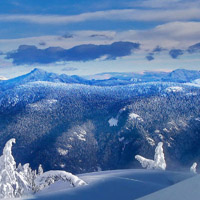 雪景頭像