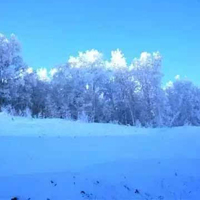 内蒙冬天阿尔山风景图片头像