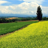 草原风景高清qq头像图片