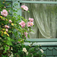 花与房子的唯美头像图片