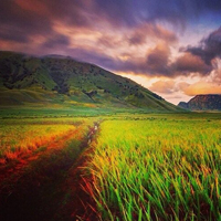 qq头像风景图片