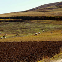 甘肃兰州白塔山风景唯美头像