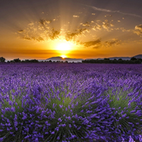异国欧洲风景头像图片