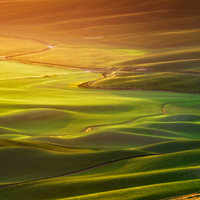 唯美清晨晨光风景小清新头像