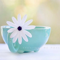 杯子qq头像唯美杯子图片