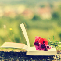 唯美复古书籍个性头像图片