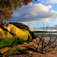 世界各地高清好看qq唯美意境风景头像图片