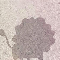 太阳下的影子经典头像