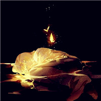 仰望星空的动漫卡通人物头像