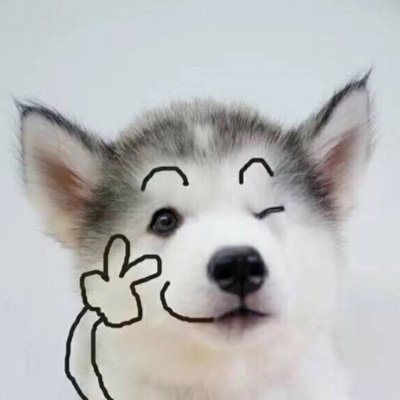 可爱狗狗情侣头像图片