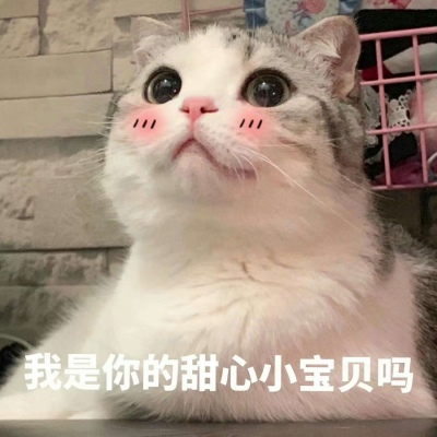 可爱小猫带字头像图片