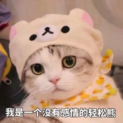 可爱小猫带字头像图片