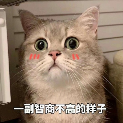 可爱小猫带字头像图片