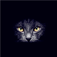 黑猫的头像 霸气图片