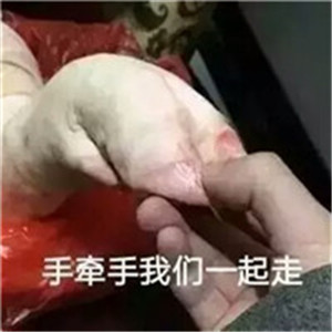 可爱猪搞笑头像带字图片