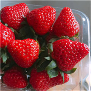带有草莓的情侣头像图片