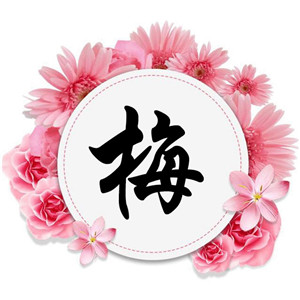 原创设计好看姓氏头像