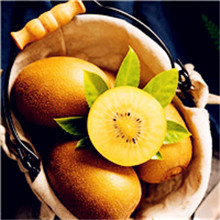 清新可爱水果头像