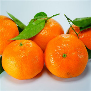 可爱的橘子头像