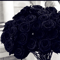 个性黑玫瑰头像