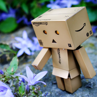 纸箱人阿楞个性头像图片