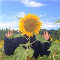 好看小清新意境女生头像