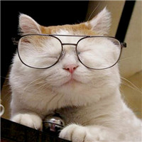 橘猫戴眼镜头像图片