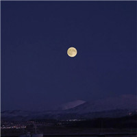 唯美好看月亮头像