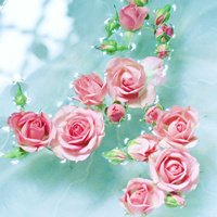 精致花朵漂亮头像