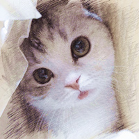 写实素描猫咪头像