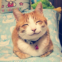 爱笑的可爱动物头像