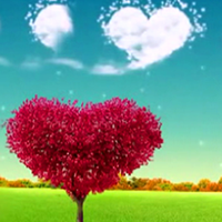 爱情树头像图片