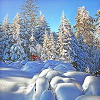 雪景qq個性頭像