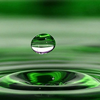水滴头像绿叶图片