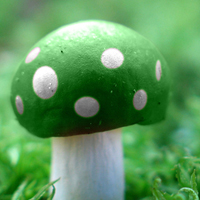 顽强的蘑菇qq头像