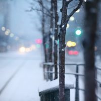 下雪唯美雪景頭像