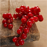 清新夏日水果头像