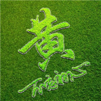 绿色姓氏简单头像