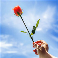 清新唯美微风风景头像