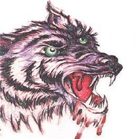 霸气孤狼个性头像