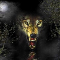 霸气孤狼个性头像