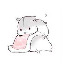qq头像小仓鼠卡通